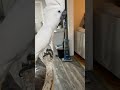 Buster the cockatoo reads letter from a fan… well we tried “fail”