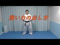 武道の力の出し方（丹田）