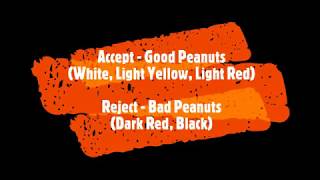 Peanut Sorting - Fine Sort Color Sorter - Roasted Peanuts - Mini Color Sorter