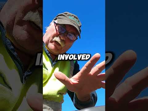 Crazy Shit People
