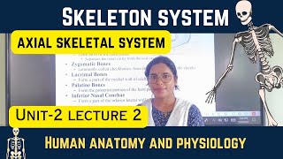 Skeleton System Axial Skeleton System Function Of Bone Anatomy And Physiology Lecture -2