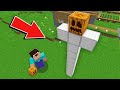 Minecraft NOOB vs PRO: WHY NOOB SPAWN THE TALLEST GOLEM IN THE VILLAGE ? Challenge 100% trolling
