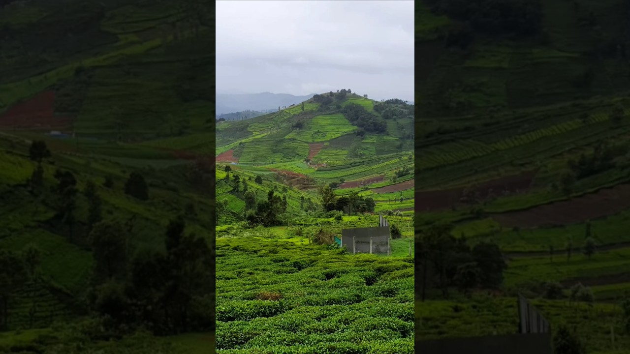 #Vagamon
