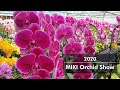 2020 MIKI Orchid Show (1)