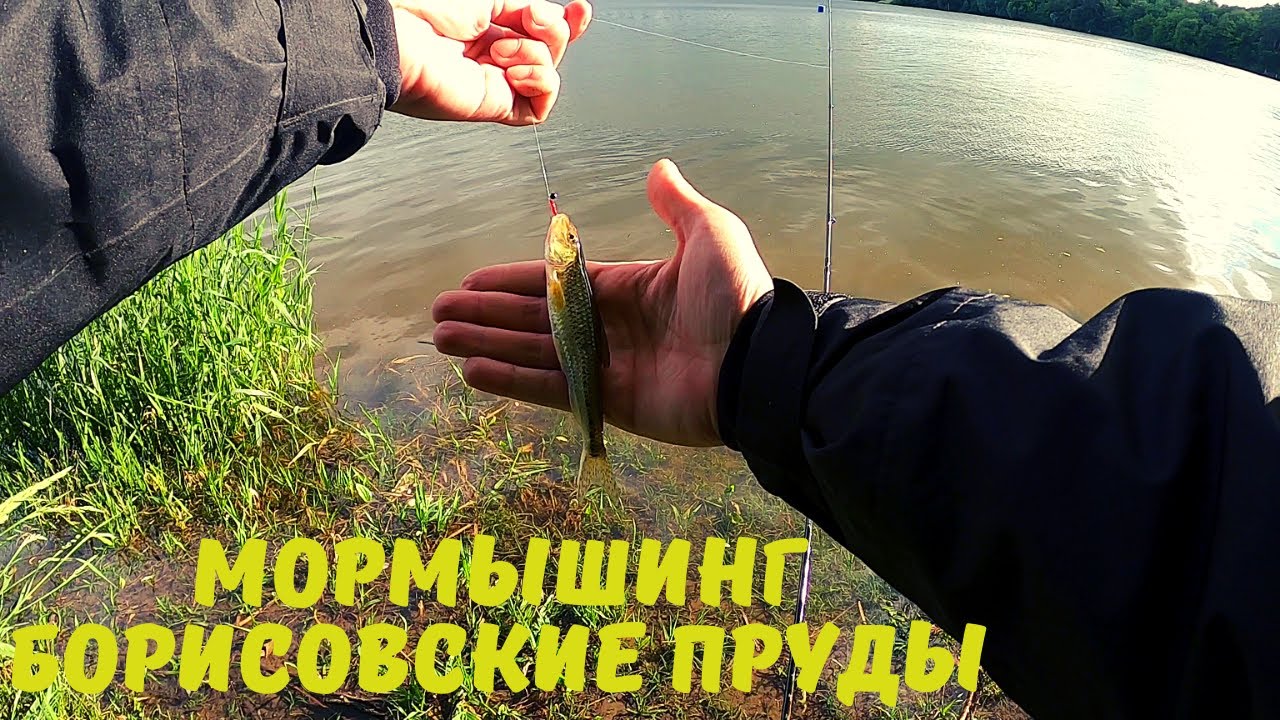 Мормышинг на оке Мормышинг на оке
