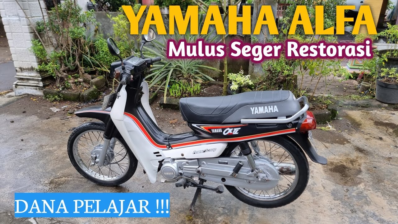 READY ALFA MULUS HARGA TERMURAH SELAGI ADA ❗️WA 083111189985 