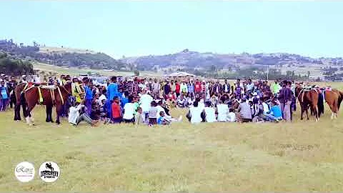 Hawwi Tazaraa, New Oromo Music 2019 Ittiin Bohara!