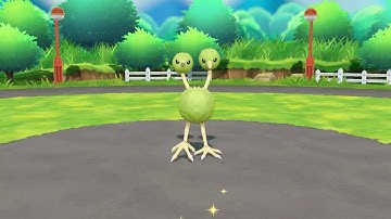 Shiny Doduo Pokemon Let