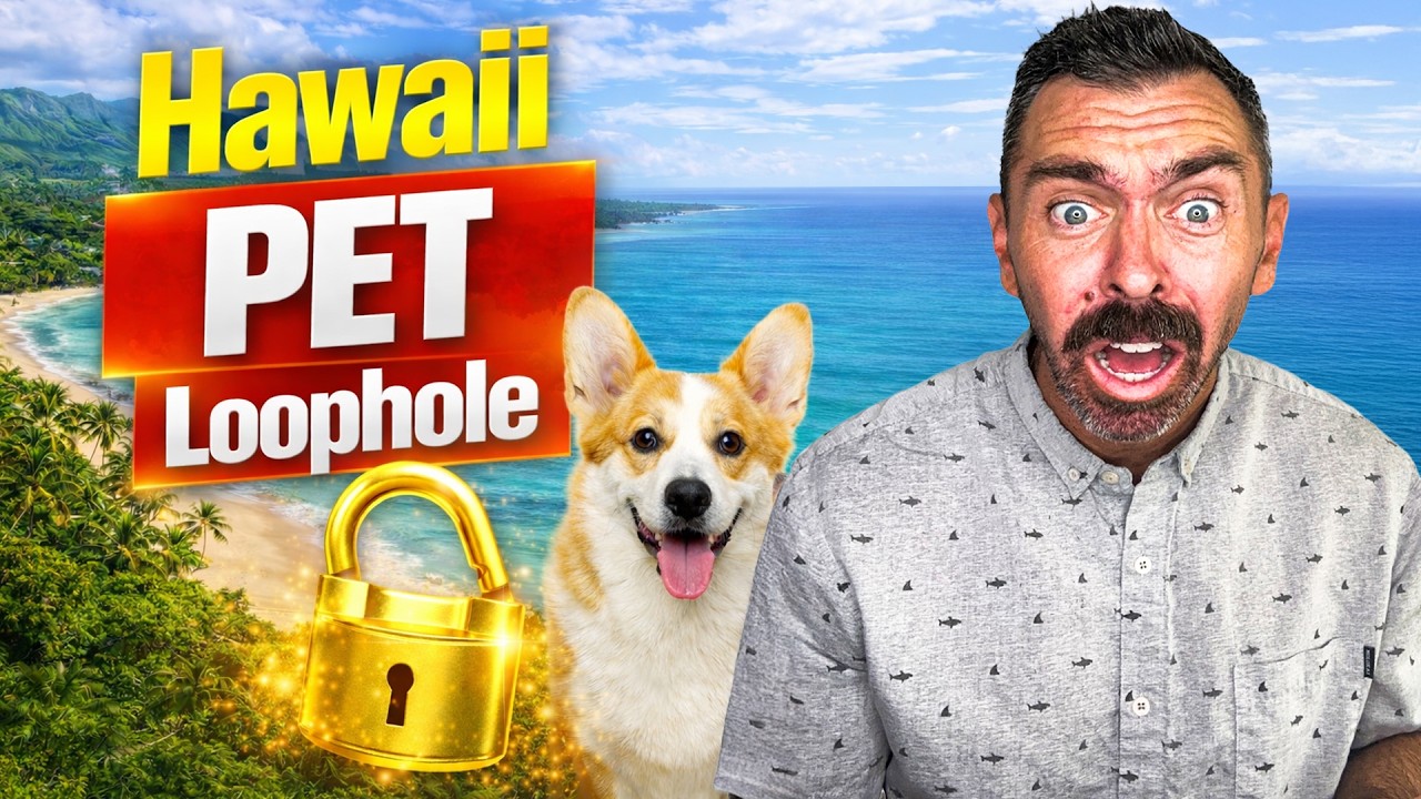Traveling With a Dog to Hawaii: Ultimate Tips for a Smooth Trip