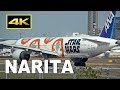 [4K] 31 Big Jets Plane Spotting at Tokyo Narita Airport / 成田空港 JAL ANA