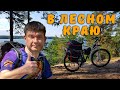 Велопоход - 150 км в краю лесов, озер и рек.