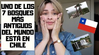 Sur de Chile: Conocimos uno de los 7 Bosques MÁS ANTIGUOS DEL MUNDO!! + DOS Parques Nacionales