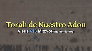 Como descargar la Torá de nuestro Adón y sus 613 Mitzvot (mandamientos)