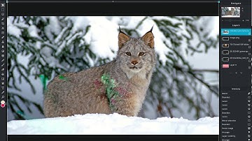 PIXLR: Deleting Background with Lasso Pixlr E