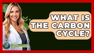 What Is The Carbon Cycle? - Earth Science Answers