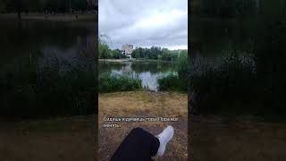 лучшие цитаты мотивации на моём канале #мотивационныецитаты #цитатыиафоризмы #монивационноевидео