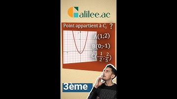 (BONUS) Savoir si un POINT appartient à une COURBE - Exercice Corrigé - Maths Troisième