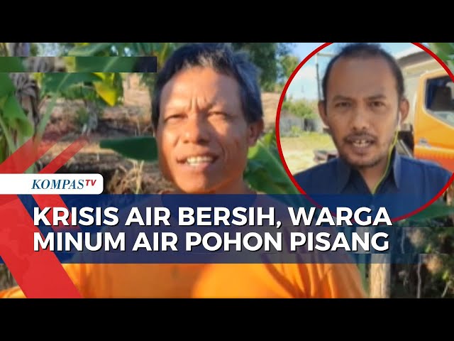 Dampak Kemarau Panjang, Warga Terpaksa Ambil Air Keruh hingga Minum Air Pohon Pisang class=