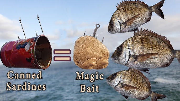 TOP 5 SUPERMARKET FISHING BAITS!! 