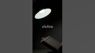 القارئ ماهر المعيقلي من سورة التحريم #القرآن_الكريم #القرآن #quran #explore #اكسبلور #ماهر_المعيقلي