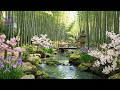 Relaxing Music🌿, Meditation 🌿, Anxiety 🌿, Depression 🌿