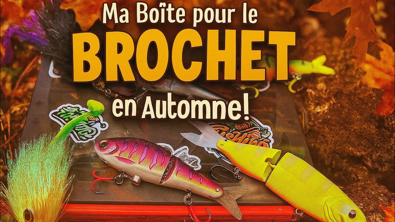 Ma boîte de leurres pour l automne pour la Peche du brochet