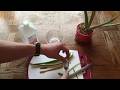 DIY Sanitizer How To Make Hand Sanitizer Gel Lotion