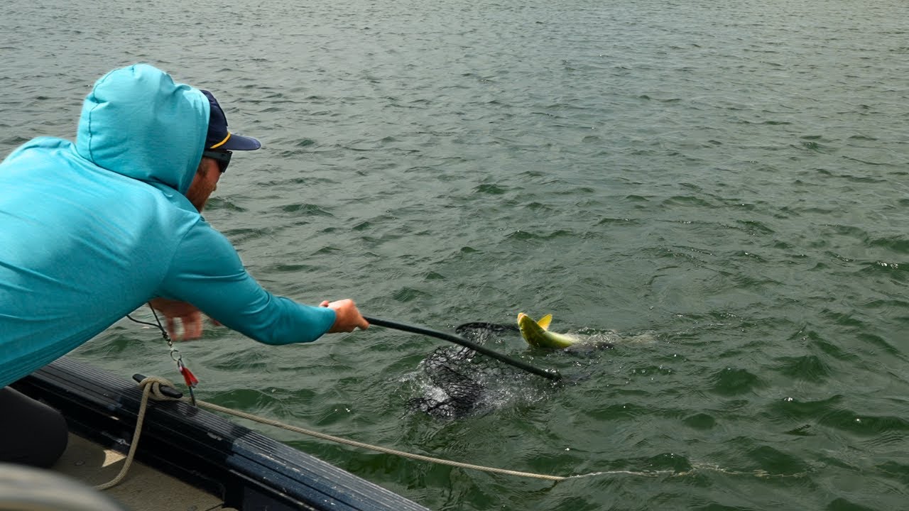 Spinney Mountain Reservoir Fishing Report | July 2025