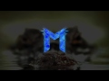 Beginning of video
