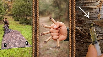 🥇Genius Survival Hacks in the Wild That Could Save Your Life