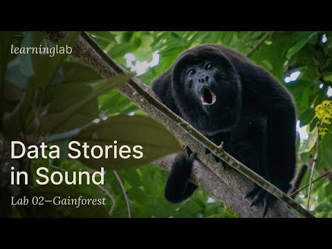 Stories in Sound: Earning Income for Regeneration with Acoustic Data