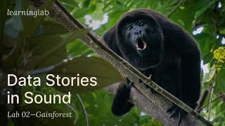 Stories in Sound: Earning Income for Regeneration with Acoustic Data @maearthstudio