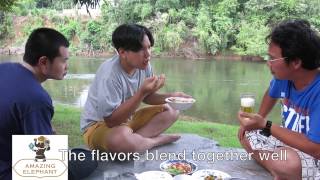 Amazing Elephant Tom Kha in Kanchanaburi Thailand