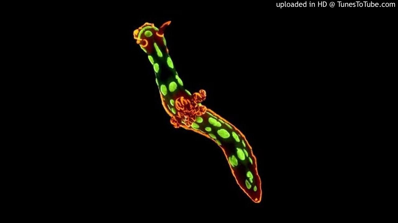 [Free] "Detritus" Timbaland Type beat