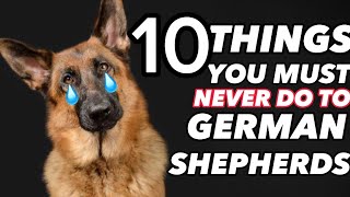 10 Things You Must Never Do to Your GermanShepherd