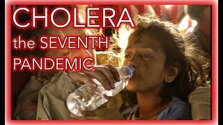 Cholera - the current pandemic screenshot 1