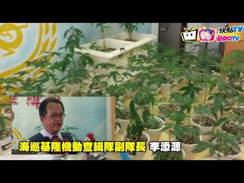 【即時】不務正業! 燈光師租屋栽種大麻!