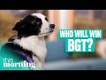 Meet the Dancing Dog Hoping to Win Britain’s Got Talent | This Morning