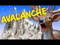 Avalanche Awareness Quiz