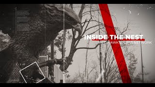 Inside The Nest:  Season 3 Episode 13