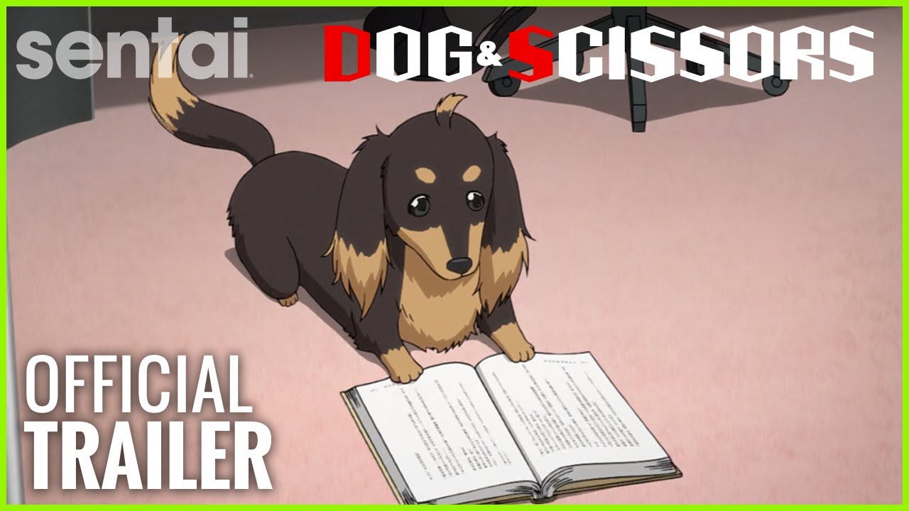 Dog  Scissors Anime Review Why It Should Get a Second Season  YouTube