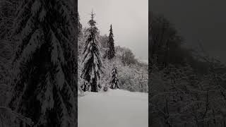 Зима в Закарпатті #україна #подорож #гори #закарпаття #зима #сніг