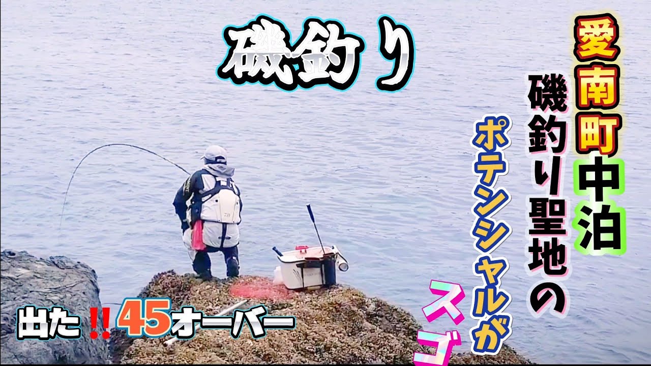 【四国西南部】中泊　ベタ潮の中ビックなグレは獲れるのか‼️(^-^)水中映像アリ　