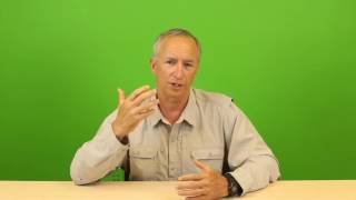What Does Clean Green Certification Program Think of Cannabis Regulations?