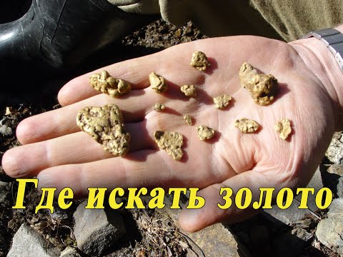 Охота за золотом. Где и как искать золотые самородки. Добыча золота своими силами.