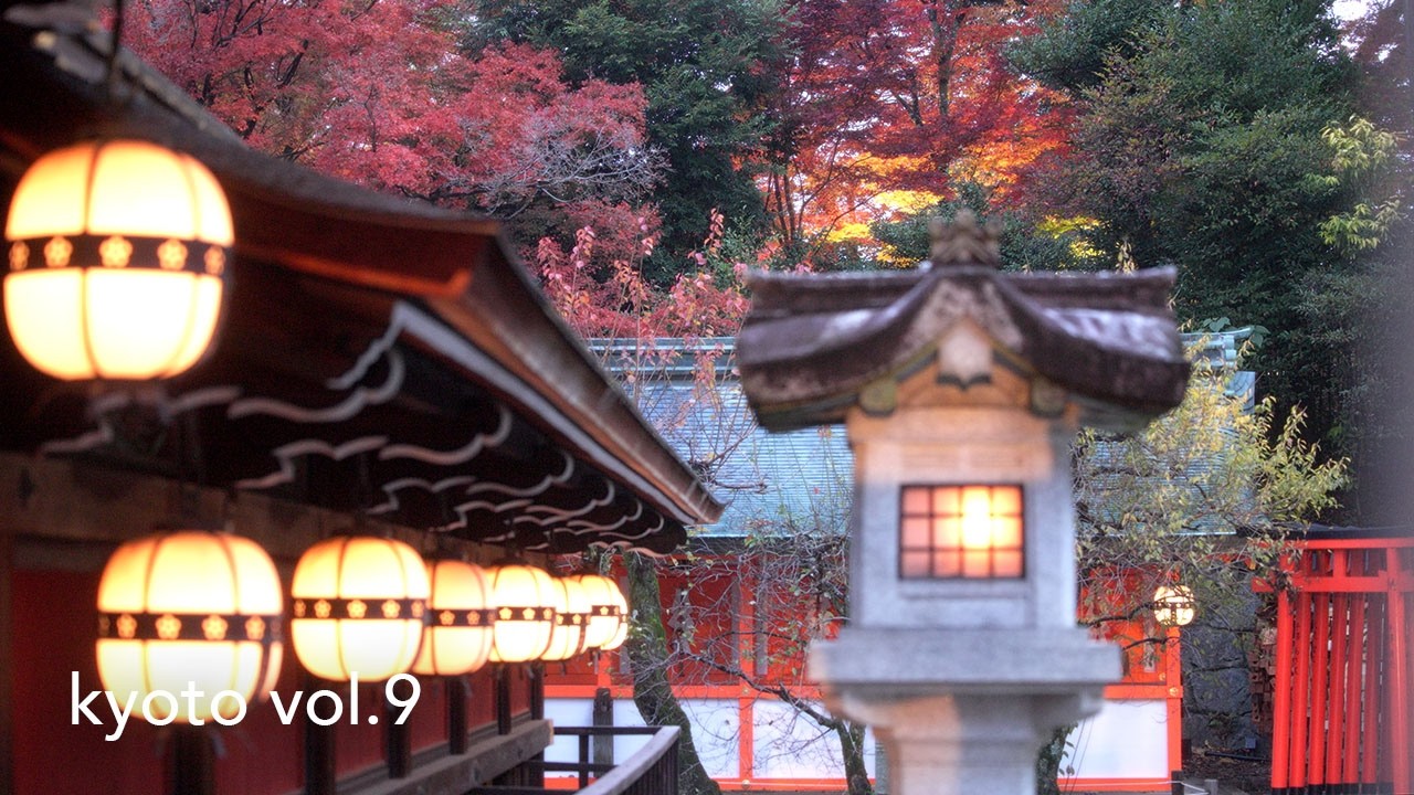 kyoto I kitano tenmangu | autumn leaves～京都・北野天満宮・紅葉