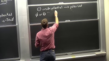 22. Neurons, Action Potential, & Optogenetics