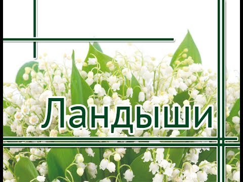 Исполнитель песни ландыши от души