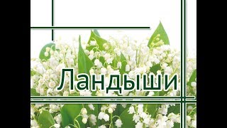 Ландыши