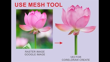 How to convert Raster to Vector image using Mesh Tool 2020 | Coreldraw Tutorial